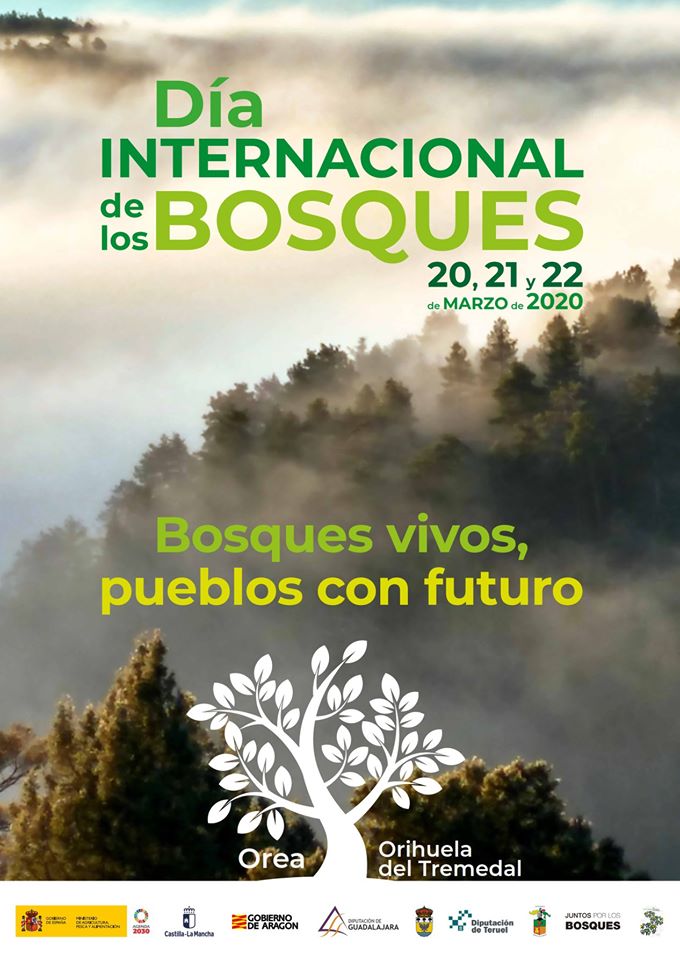Poster_del_Dia_Internacional_de_los_Bosques_2020